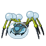 Araquanid