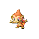 Chimchar.png