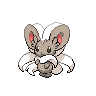 Cinccino.png