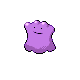 Ditto.png