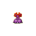 Bellossom