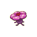 Vileplume