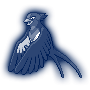 Swellow.png