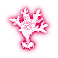 Cursola