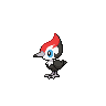 Pikipek