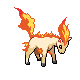 Ponyta.png