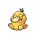 Psyduck.png