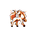 Retro-Rapidash.png