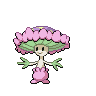 Shiinotic