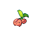 Cherubi.png