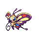CoinCompany-Beautifly.png