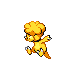 CoinCompany-Magby.png