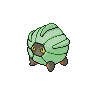 CoinCompany-Shelgon.png