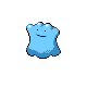 Ditto.png