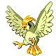 Pidgeotto.png