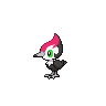 Pikipek