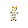 Scorbunny