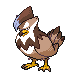 Staraptor.png