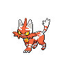 Torracat