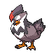 Staraptor.png
