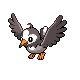 Starly.png