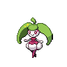 Steenee