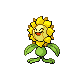 Sunflora.png
