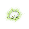 Silcoon.png