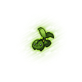 Cherubi