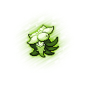 Gossifleur