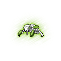 Nincada