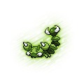 Skorupi