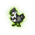 Staraptor