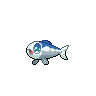 Wishiwashi%20%28Solo%29.png