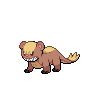 Yungoos