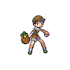 Newbie.png