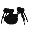 Araquanid.png
