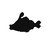 Bruxish.png