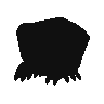 Crustle.png