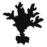 Cursola.png