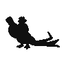 Farfetchd%20%28Galarian%29.png