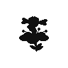 Flabebe.png
