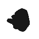 Nosepass.png
