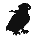 Pidgeot.png