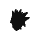 Pupitar.png
