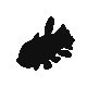 Relicanth.png