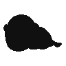 Sandaconda.png