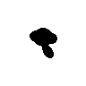 Tympole.png