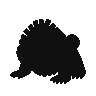 Ursaluna.png
