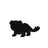 Yungoos.png
